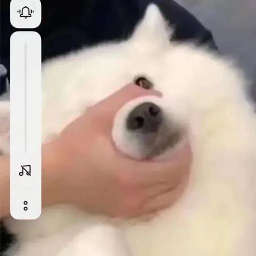 ❤️ Стикер «猫四的表情包» для Telegram