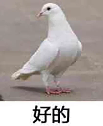❤️ Стикер «猫四的表情包» для Telegram