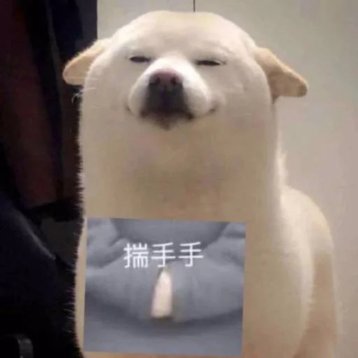❤️ Стикер «猫四的表情包» для Telegram