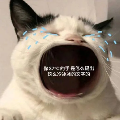❤️ Стикер «猫四的表情包» для Telegram