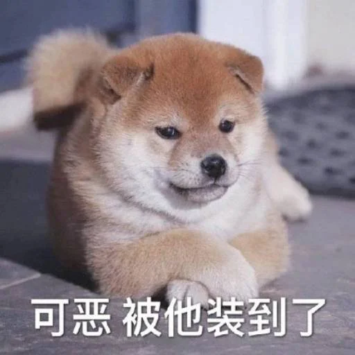 ❤️ Стикер «猫四的表情包» для Telegram