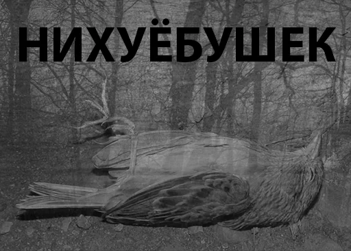 🐦 Стикер «Tlenota» для Telegram