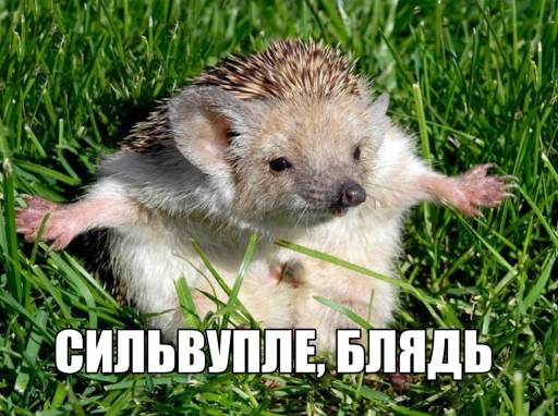 🤗 Стикер «Tlenota» для Telegram