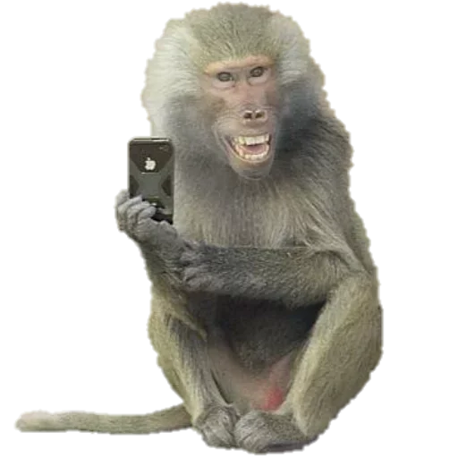 😋 Стикер «TelegramMe» для Telegram