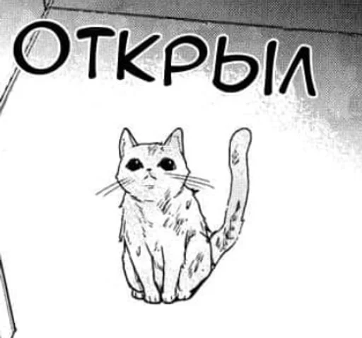 🌟 Стикер «Love is an Illusion» для Telegram