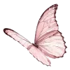 Стикер 9 𝐠𝐢𝐫𝐥𝐬 𝐰𝐨𝐫𝐥𝐝