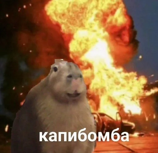 😈 Стикер «капибарка» для Telegram