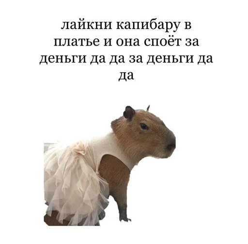 Стикерпак капибарка для Telegram — скачать