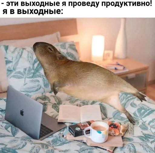 😴 Стикер «капибарка» для Telegram