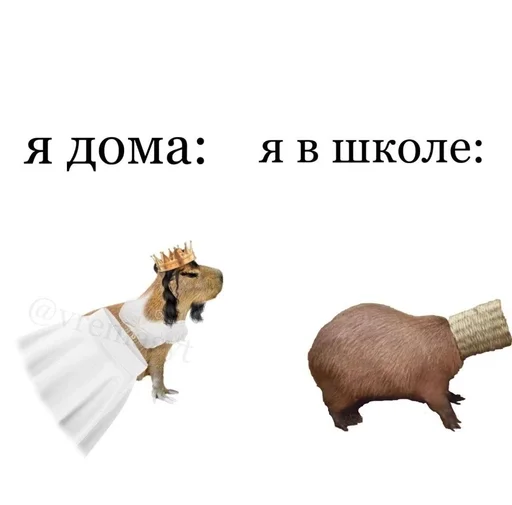 😔 Стикер «капибарка» для Telegram
