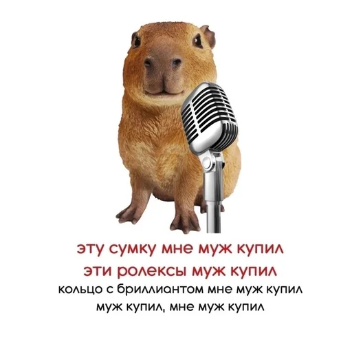 😋 Стикер «капибарка» для Telegram