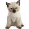🌟 Эмодзи «write random» для Telegram