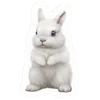 🌟 Эмодзи «write random» для Telegram