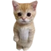🌟 Эмодзи «write random» для Telegram