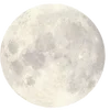 🌟 Эмодзи «write random» для Telegram