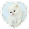 🌟 Эмодзи «write random» для Telegram