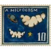🤩 Эмодзи «ㅤинжир ㅤㅤ» для Telegram