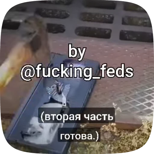 🤩 Стикер «Norman Jayden» для Telegram