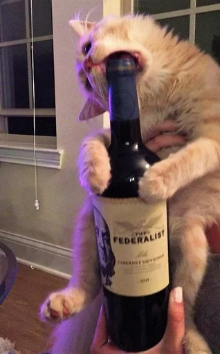🍷 Стикер «Хрюшки» для Telegram