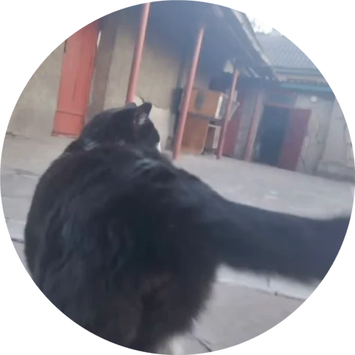👋 Стикер «Для шлёпанца(шлёпы)» для Telegram