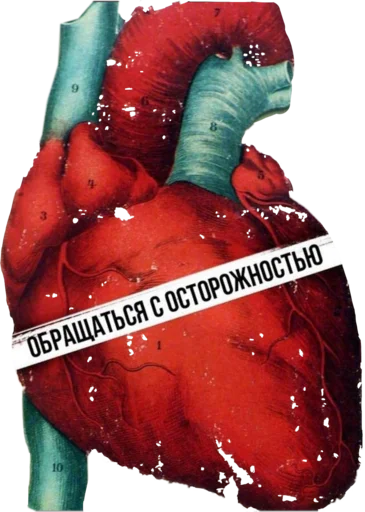 🫀 Стикер «XaryMary» для Telegram