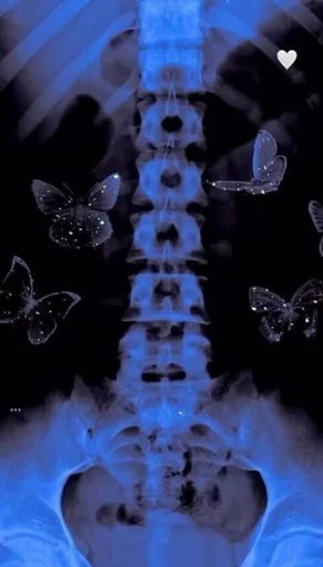 🦋 Стикер «XaryMary» для Telegram