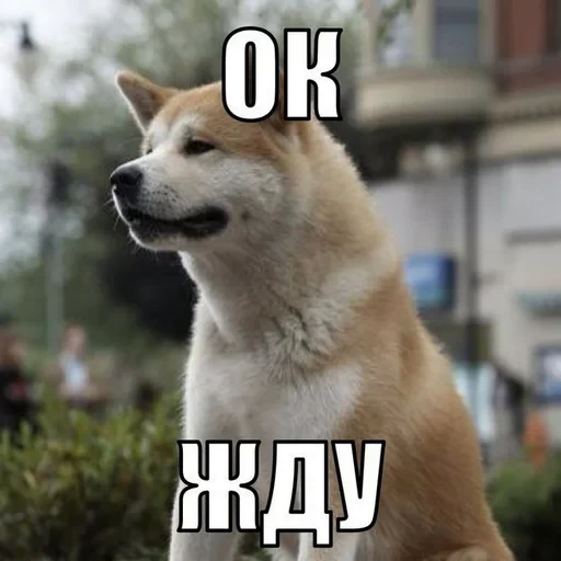 ⏰ Стикер «ЗБС» для Telegram