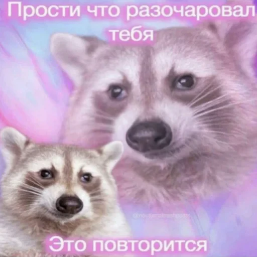 🤷‍♀️ Стикер «ЗБС» для Telegram