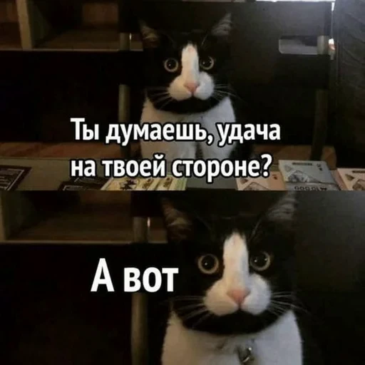 🥲 Стикер «ЗБС» для Telegram