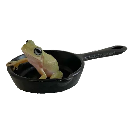 🐸 Стикер «Toad» для Telegram
