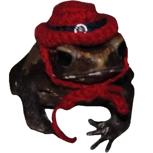 🐸 Стикер «Toad» для Telegram