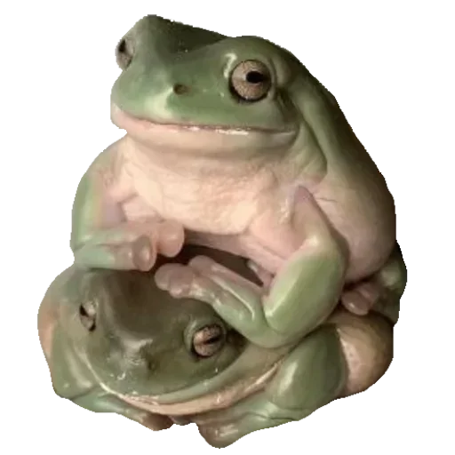 🐸 Стикер «Toad» для Telegram