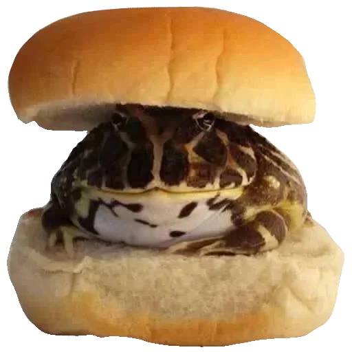 🐸 Стикер «Toad» для Telegram
