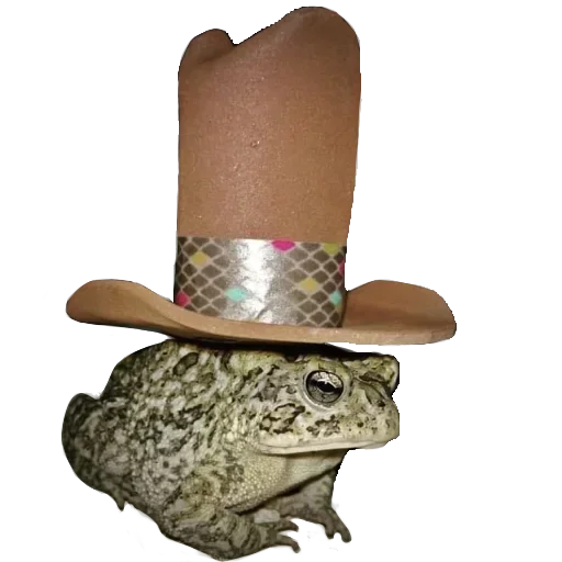 🐸 Стикер «Toad» для Telegram