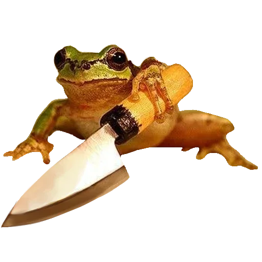 🐸 Стикер «Toad» для Telegram