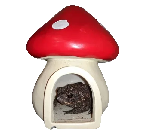 🐸 Стикер «Toad» для Telegram