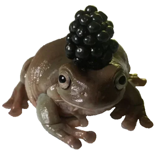 🐸 Стикер «Toad» для Telegram
