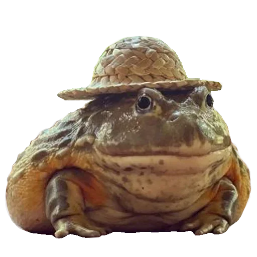 🐸 Стикер «Toad» для Telegram