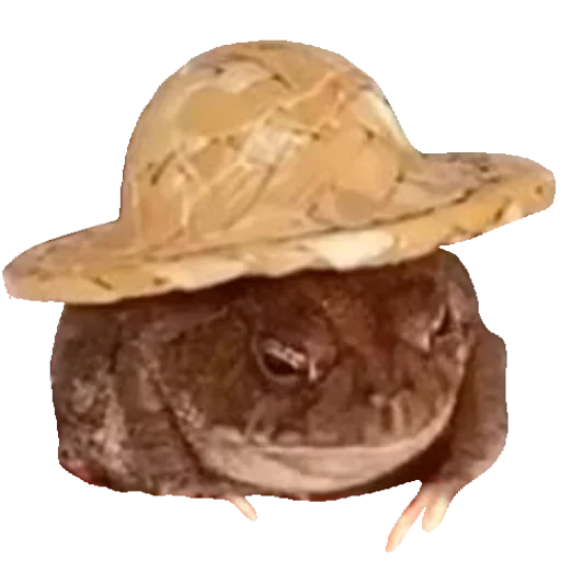 🐸 Стикер «Toad» для Telegram
