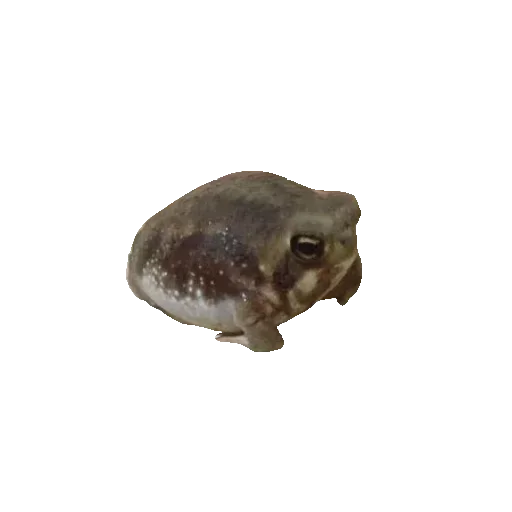 🐸 Стикер «Toad» для Telegram