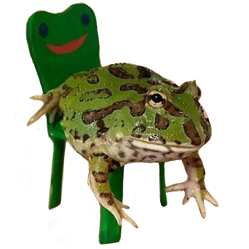 🐸 Стикер «Toad» для Telegram