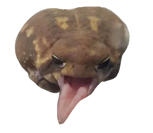 🐸 Стикер «Toad» для Telegram