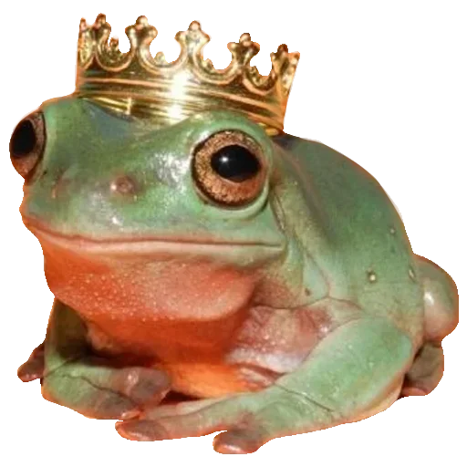 🐸 Стикер «Toad» для Telegram
