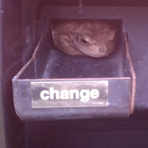 🐸 Стикер «Toads and Frogs» для Telegram