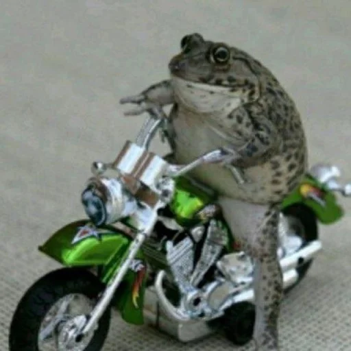 🐸 Стикер «Toads and Frogs» для Telegram