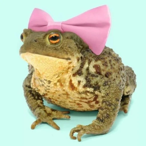 🐸 Стикер «Toads and Frogs» для Telegram