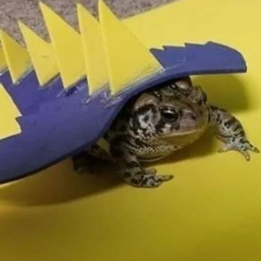 🐸 Стикер «Toads and Frogs» для Telegram