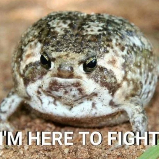 🐸 Стикер «Toads and Frogs» для Telegram