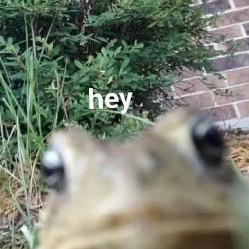 🐸 Стикер «Toads and Frogs» для Telegram