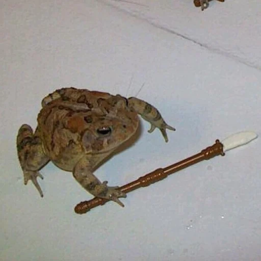 🐸 Стикер «Toads and Frogs» для Telegram